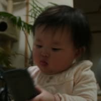 舌が長い 6ヶ月 184日目 赤ちゃんってオモシロイ 舌が長い 6ヶ月 184日目 赤ちゃんってオモシロイ