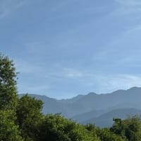 御嶽海