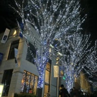 クリスマスイルミネーション@神奈川&六本木