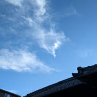 令和の龍　　　　　　　今度はあれが出て来ました；