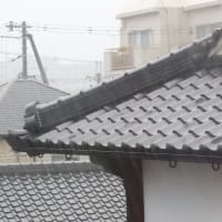 またもや大雨　