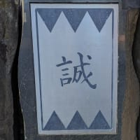 アリとアブラムシの関係は