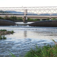 二上山の日の出～下深井堰　石川２　２０２５．７