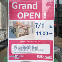 馬事公苑の近くにサーティワン