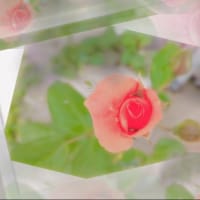 髪染め屋さんから書いてます