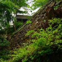 唐沢山神社の花手水を記録してきました。