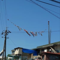 鯉のぼりが上がるクレーンで