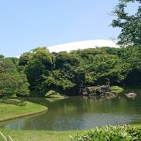 ＃162 -’25.　小石川後楽園で花菖蒲を楽しむ（小石川後楽園遍）