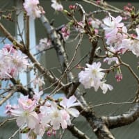 思い込みから解放する