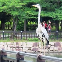大阪城公園・更に続き