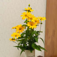 花とアームバンド