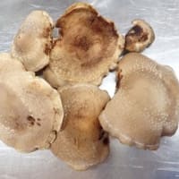 本日の給食　４月１７日