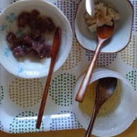 94歳母親・要介護5の寝たきり介護、手配・設定整いました､動き出しました