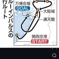 冥途の土産にブルーインパルス