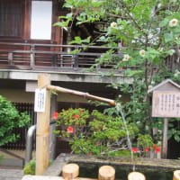 大和１３佛霊場　第３回目　最後は　第５番・金剛寺へ