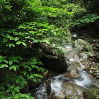 延岡ふるさと里山のチカラ再発見写真館NO 1492