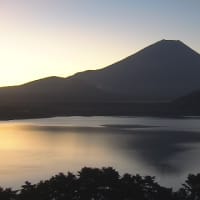 本日の富士山