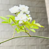 ボケかましたろか～