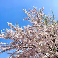 お知らせ4月22日（火）