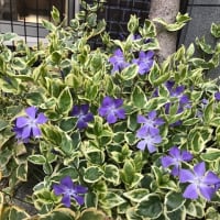 少しずつ上を向けたら