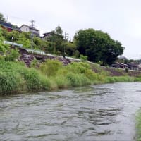 【釣】2025年の解禁日に銀影競技へこれでもかと魂が入る　（2025/06/01 　鮎　笹子川）