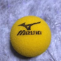 河内長野市で始めました。スポンジテニスのサークルです。