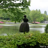 昭和記念公園【３】色々な花々
