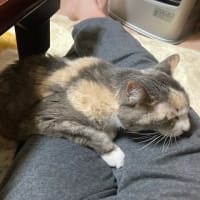 いくつになっても甘えん坊