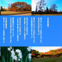 冬の新宿御苑