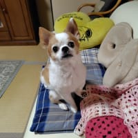 やっちまった！！！