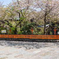 KYOTOGRAPHIE 京都国際写真祭 2024