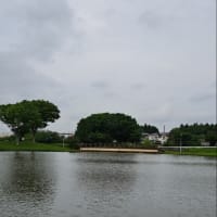 令和7年5月18日のブログです。