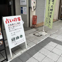 野菜が育っている