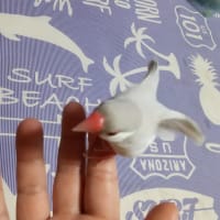 しーちゃんありがとう