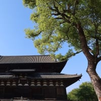 【京都幕間旅情】東寺,日常の中に非日常の国際報道を思い浮かべて