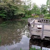 散歩道・姿見の池