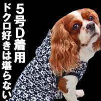 ドクロ・スカルパーカー新作入荷♪