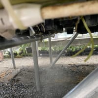 棚下ミストの開始