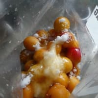 梅仕事します！　