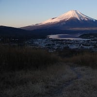 富士山　朝　山中湖近く高指山にて