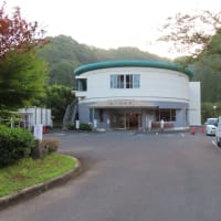 朝の散歩（2025/6/30）・・・姶良市加治木町網掛川上流・龍門滝方面