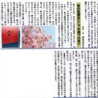 桜の起源はどこ？中国？日本？