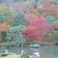 久しぶりの　京都。