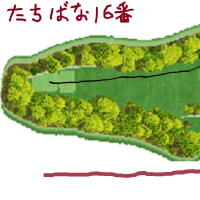 今日のゴルフ挑戦記（459）／新千葉CC「たちばな」 イン→アウト（コーライ）