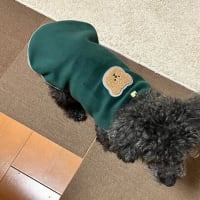 新しい服