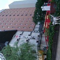 はりまや橋でエルザの記念写真！