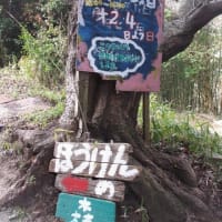 3月4日、淡路島冒険の森へ行ってきました！！！