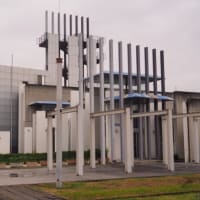 ６月のひまわり