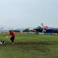 BB ＆ DT Joint Match 2024　Super Pro Toss＆Fetch