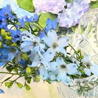 5月の写真教室　　　青い花と花瓶